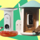 Best Bird Feeders With Cameras, Tested and Reviewed (2025)