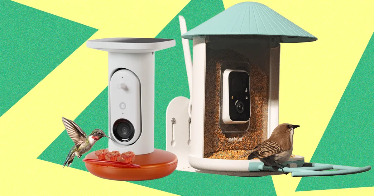 Best Bird Feeders With Cameras, Tested and Reviewed (2025)