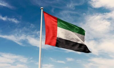 UAE flag