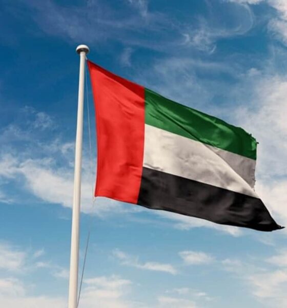 UAE flag