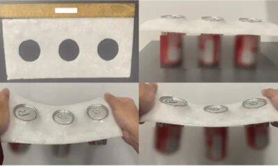 USC Researchers Develop Eco-Friendly Plastic Alternative Using Seashell-Derived Mineral