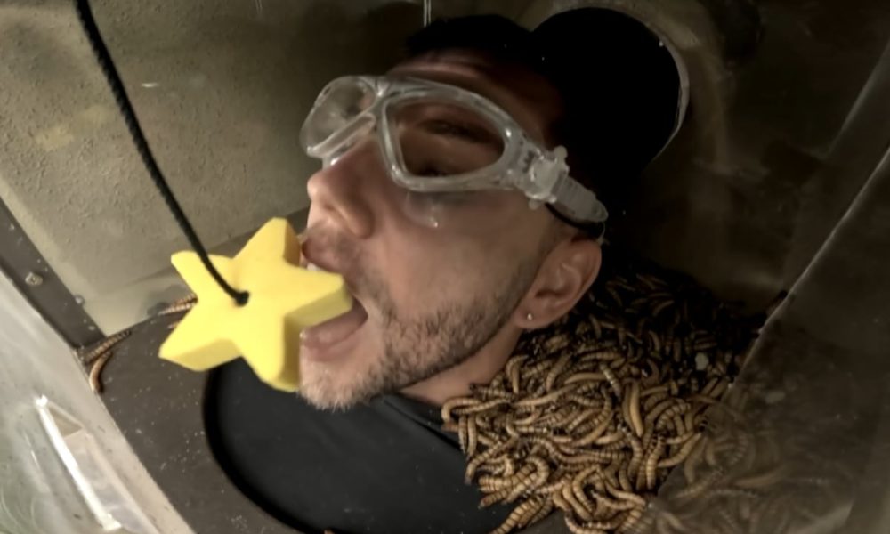 I’m a Celeb 2025: do they use real animals and insects in Bushtucker Trials? Explained