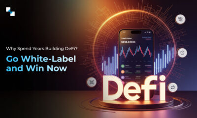 Smart Contract Audit Cost