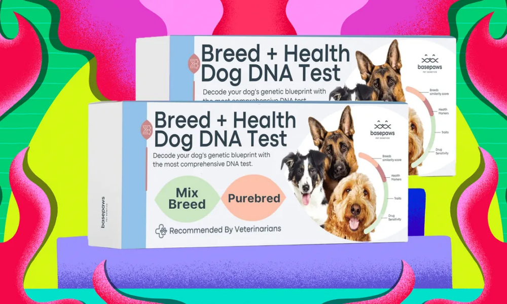 Basepaws Pet Test Kits Are Half Off Right Now (2025)