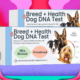 Basepaws Pet Test Kits Are Half Off Right Now (2025)