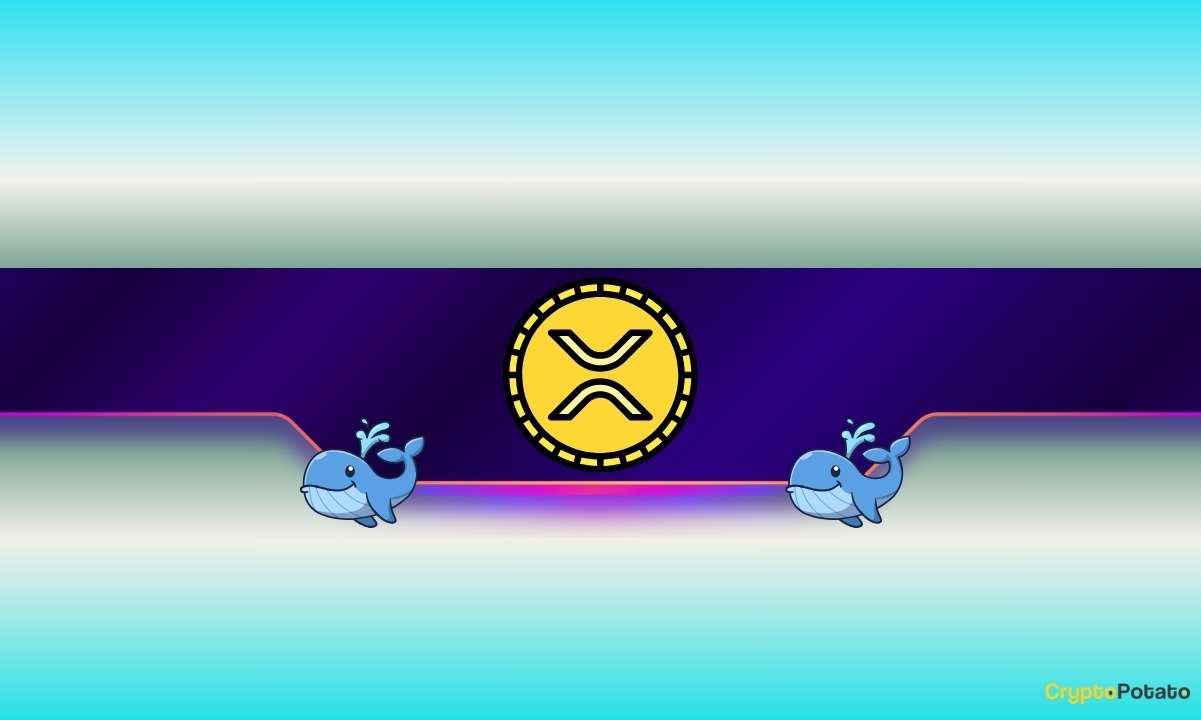 460,000,000 XRP Moved in 4 Days: Bull Trap or Breakout?