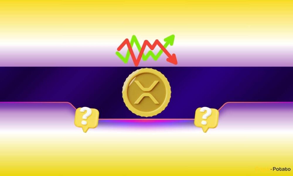 Key Support and Resistance Levels to Watch