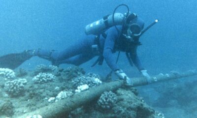 A SCUBA Diver Checks An Undersea Cable