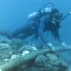 A SCUBA Diver Checks An Undersea Cable