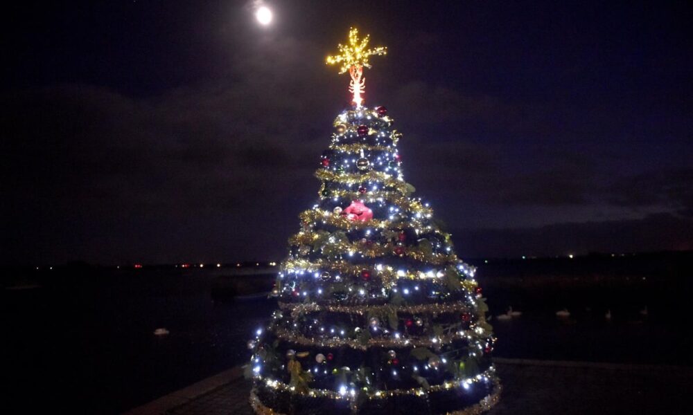 In pictures: Crowds gather for Emsworth Christmas lights switch on