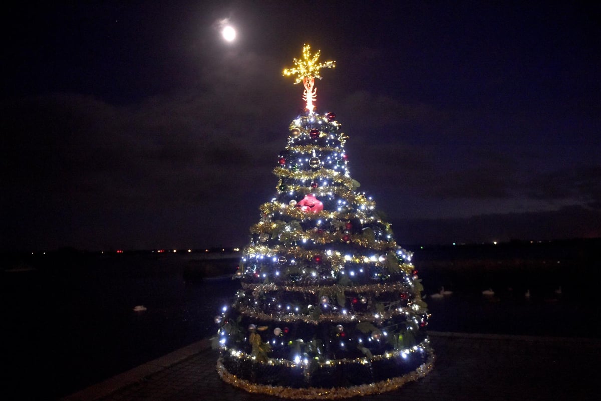 In pictures: Crowds gather for Emsworth Christmas lights switch on