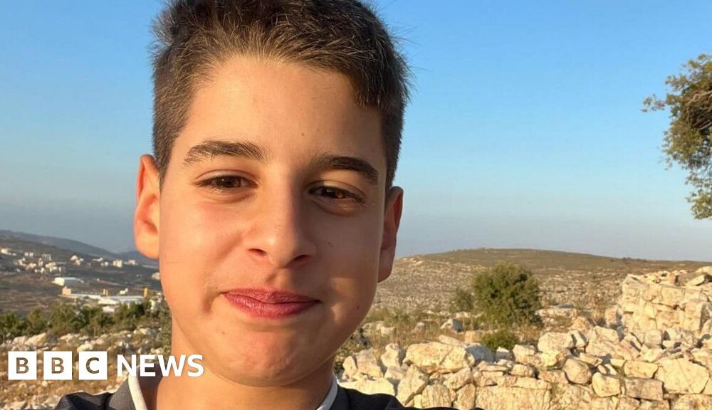 US-Palestinian teen freed after nine months in Israeli jail