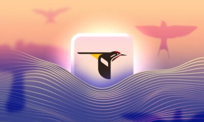 The Merlin Bird ID logo surrounded by purple waves and pink bird shadows in the background.