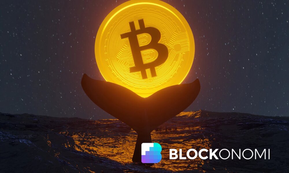 Hyperliquid Whales Push Bitcoin and Ethereum Longs