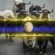 Crypto Sentiment Flips Bullish as XWIN Trend Index Climbs to 72