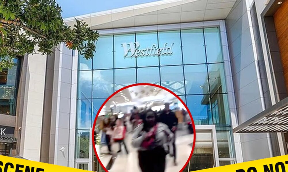 Gunman Shoots 3 People Inside California Mall, Video Shows Aftermath