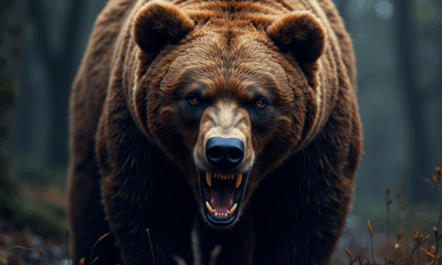 Solana Price Bearish