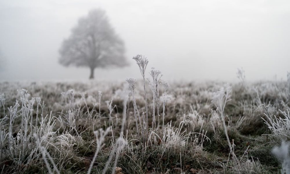 Cold weather warning in force with snow and ice ahead