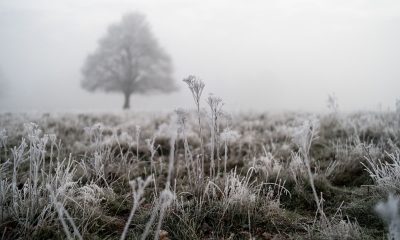 Cold weather warning in force with snow and ice ahead