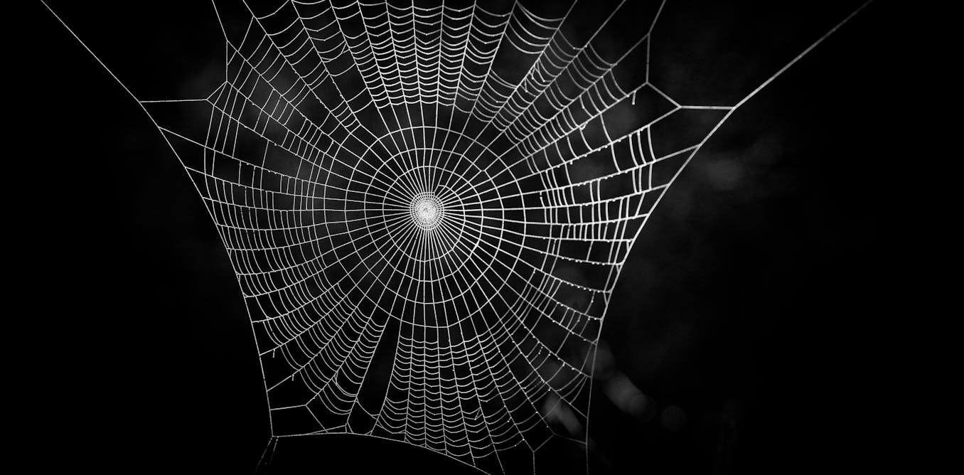 how dark web criminals give themselves away with their language