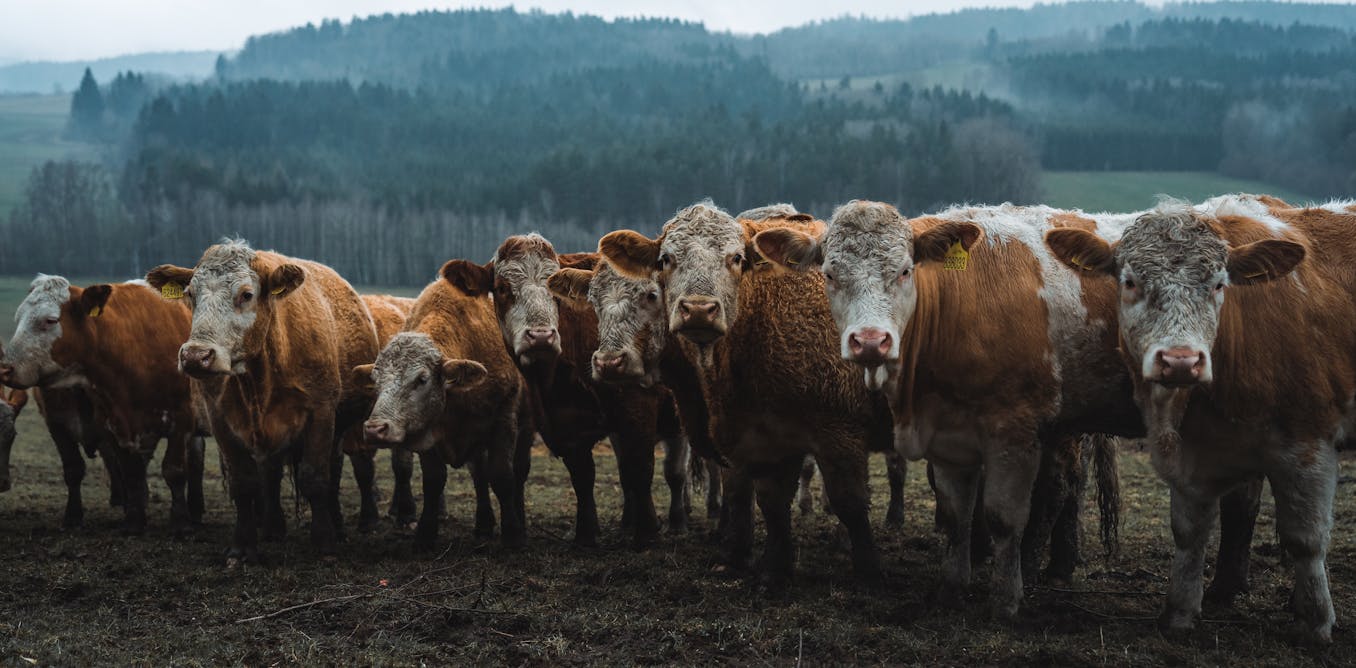 The fast-fix for global warming that the UN climate summit can’t ignore