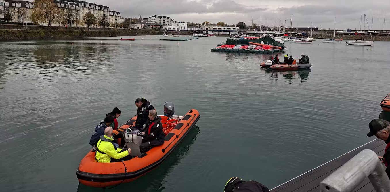 Thousands of oysters are being re-introduced to Dublin Bay as nature’s super water cleaners