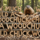 an AI image of a woodchuck and the phrase carved out of wood, reading: How much wood would a wood chuck chuck if a wood chuck could chuck wood
