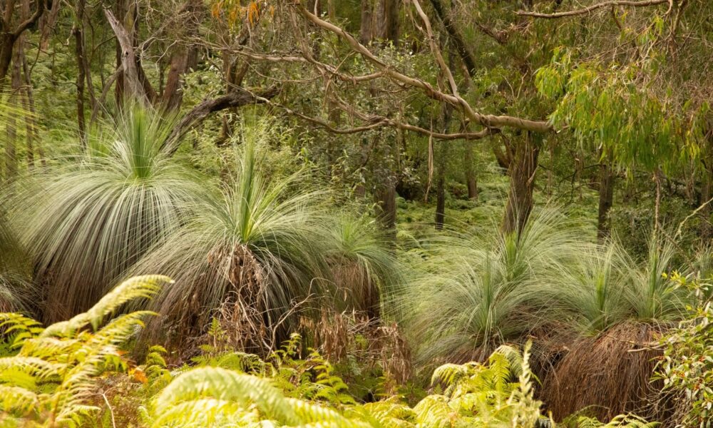 Environmental reforms won't push up power prices: Watt