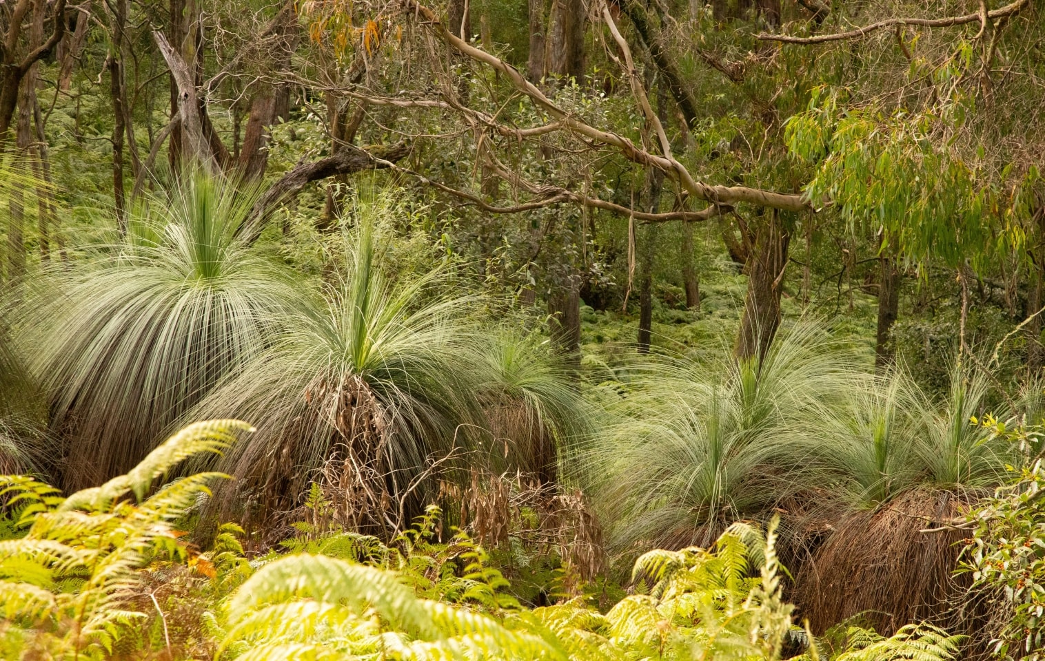 Environmental reforms won't push up power prices: Watt