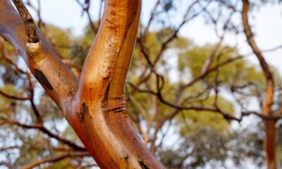 Projects on the line if deal not struck on nature bill