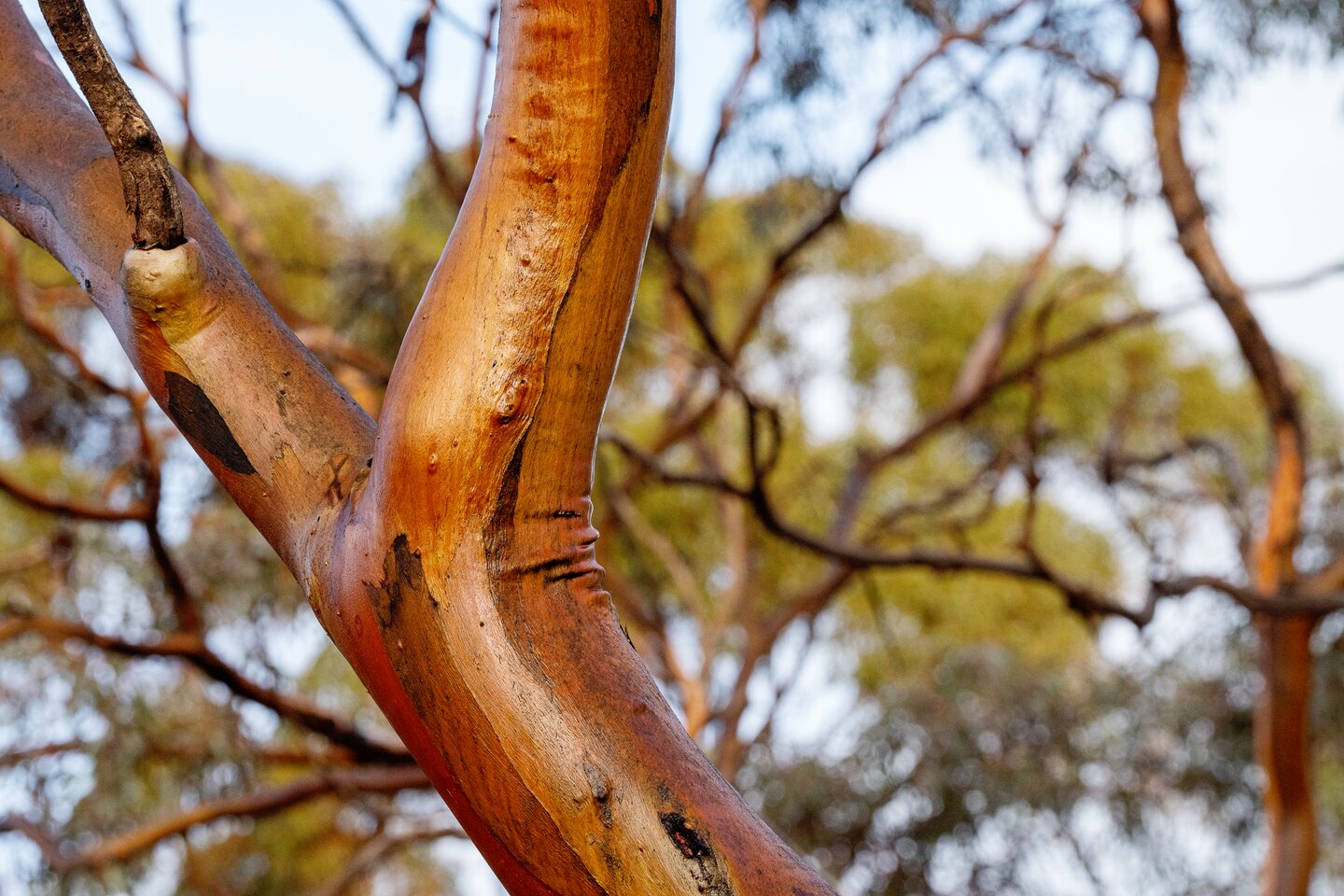 Projects on the line if deal not struck on nature bill