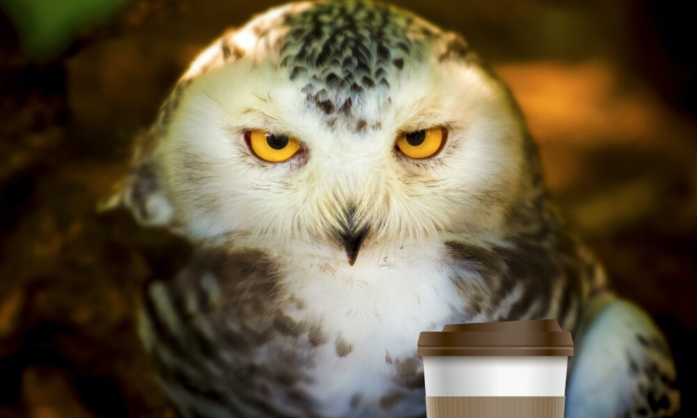 Let night owls be night owls: How the pandemic could dethrone the larks