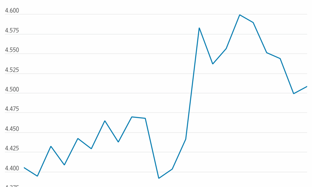 Chelsey Dulaney hedcut