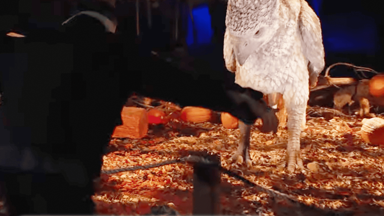 Attempts To Ruin A Harry Potter Attraction Have Failed, So Far