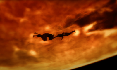 The Tragic Reason Farscape Lost The Soul Of Its Story