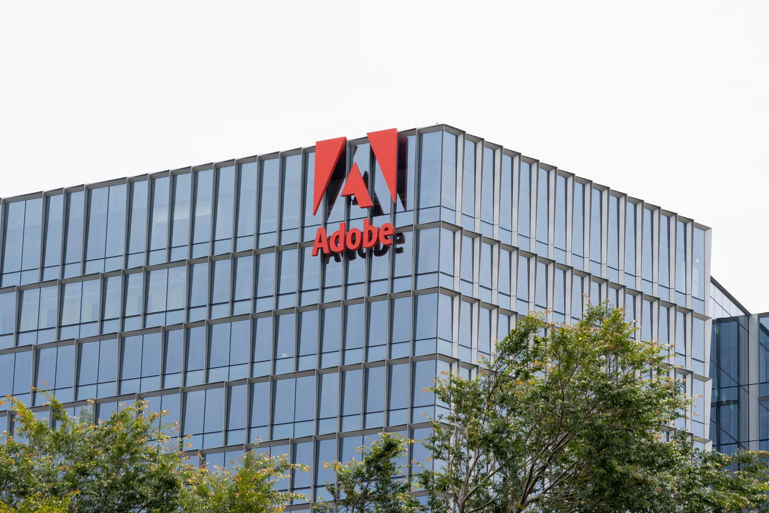 Why I'm Doubling Down On My Adobe Position (NASDAQ:ADBE)