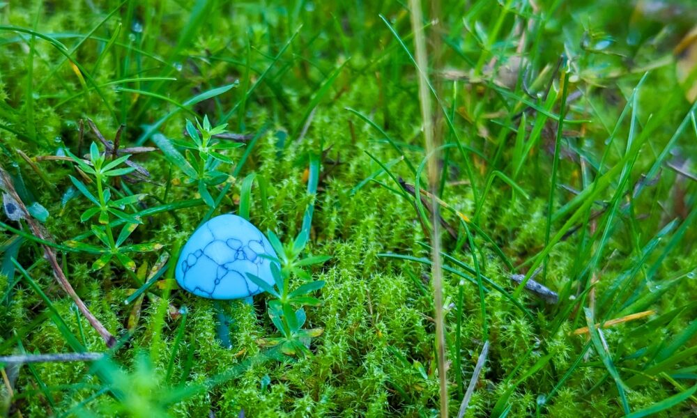 Bottom Picking BDCs: Golub Capital BDC