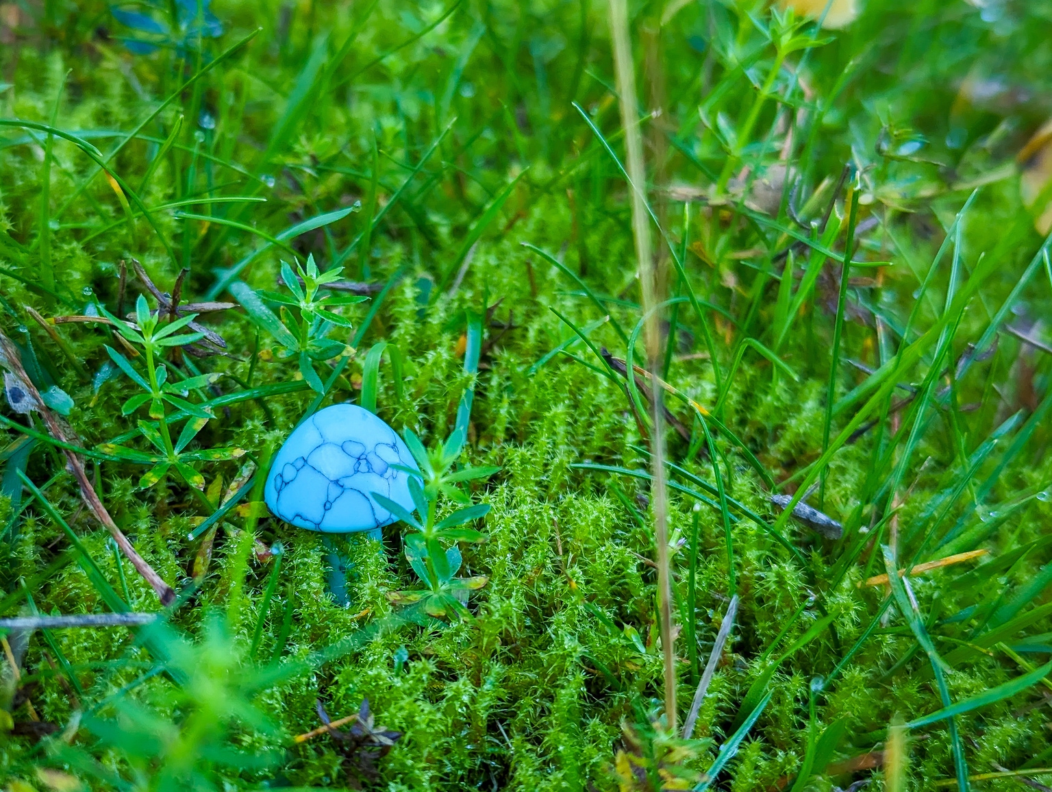 Bottom Picking BDCs: Golub Capital BDC