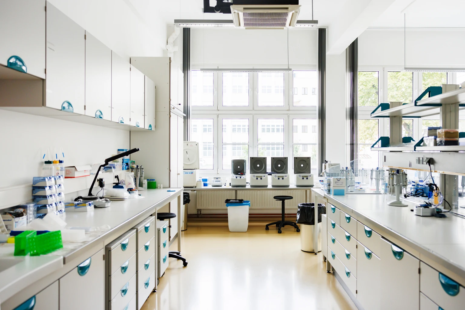 SBIO: A Shock Biotech Winner In 2025