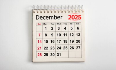 Wall Street Brunch: Plenty Of Earnings To Kick Off December