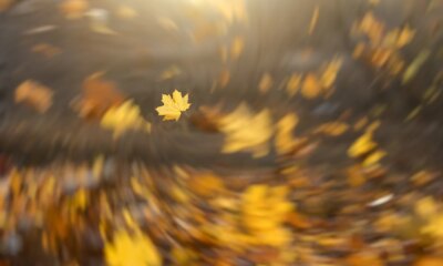 WGMI: Winds Are Changing, Management Must As Well (NASDAQ:WGMI)