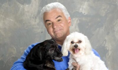 How to Watch the 2025 National Dog Show: Date, Time, Streamer, Dogs and More