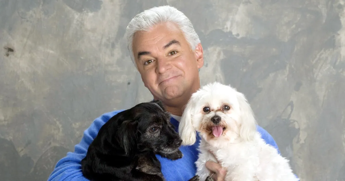 How to Watch the 2025 National Dog Show: Date, Time, Streamer, Dogs and More