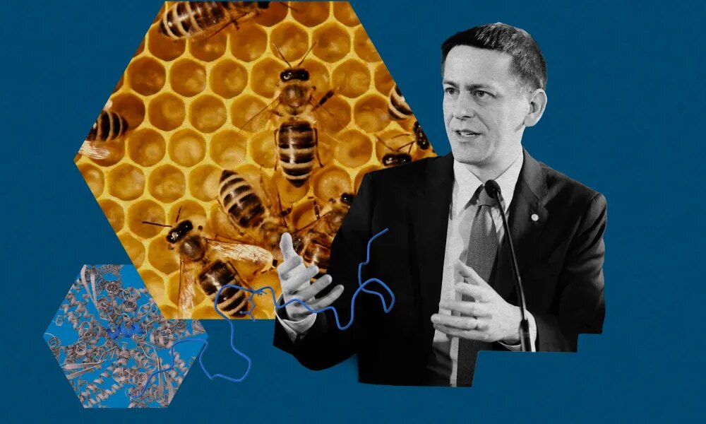 What’s next for AlphaFold: A conversation with a Google DeepMind Nobel laureate