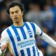 Brighton Apologise to China For Kaoru Mitoma Image