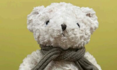 AI teddy bear suspended after discussing sexual topics