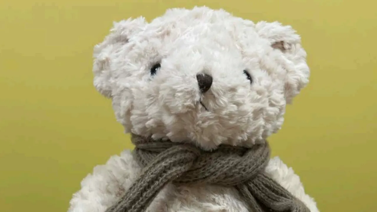 AI teddy bear suspended after discussing sexual topics