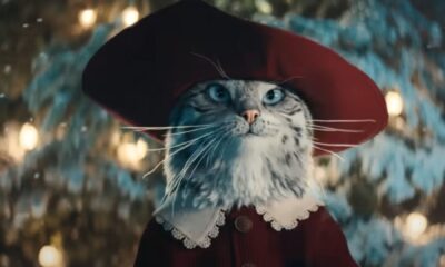 Heartwarming moment owner sees beloved cat starring in Boots’ Christmas advert