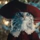 Heartwarming moment owner sees beloved cat starring in Boots’ Christmas advert