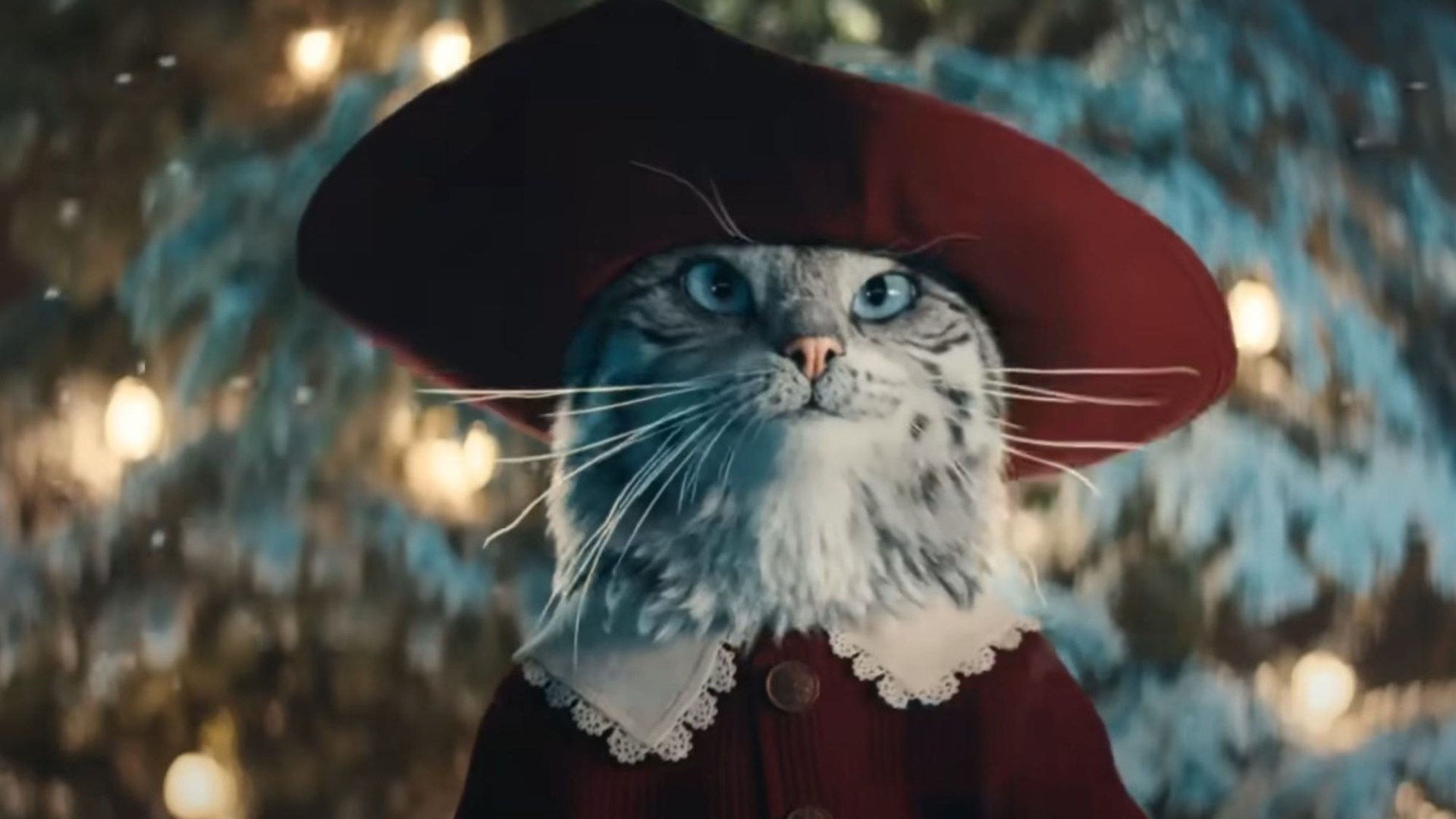 Heartwarming moment owner sees beloved cat starring in Boots’ Christmas advert